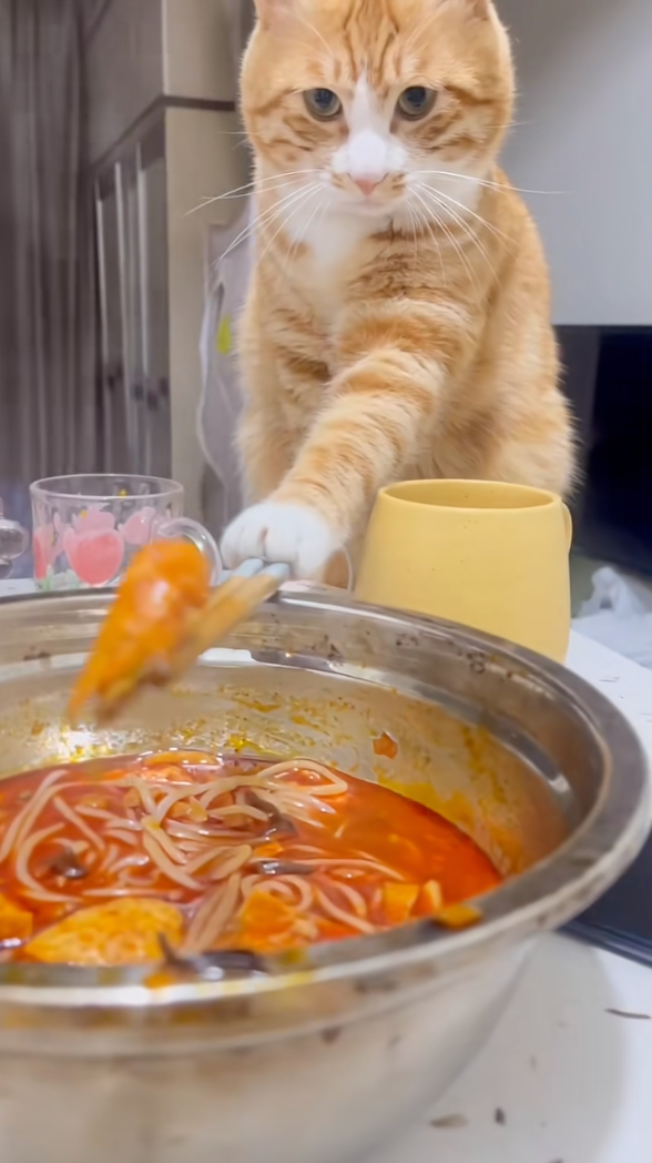 看看那睿智的眼神。