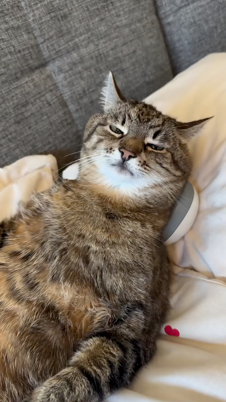 看看這個小表情～