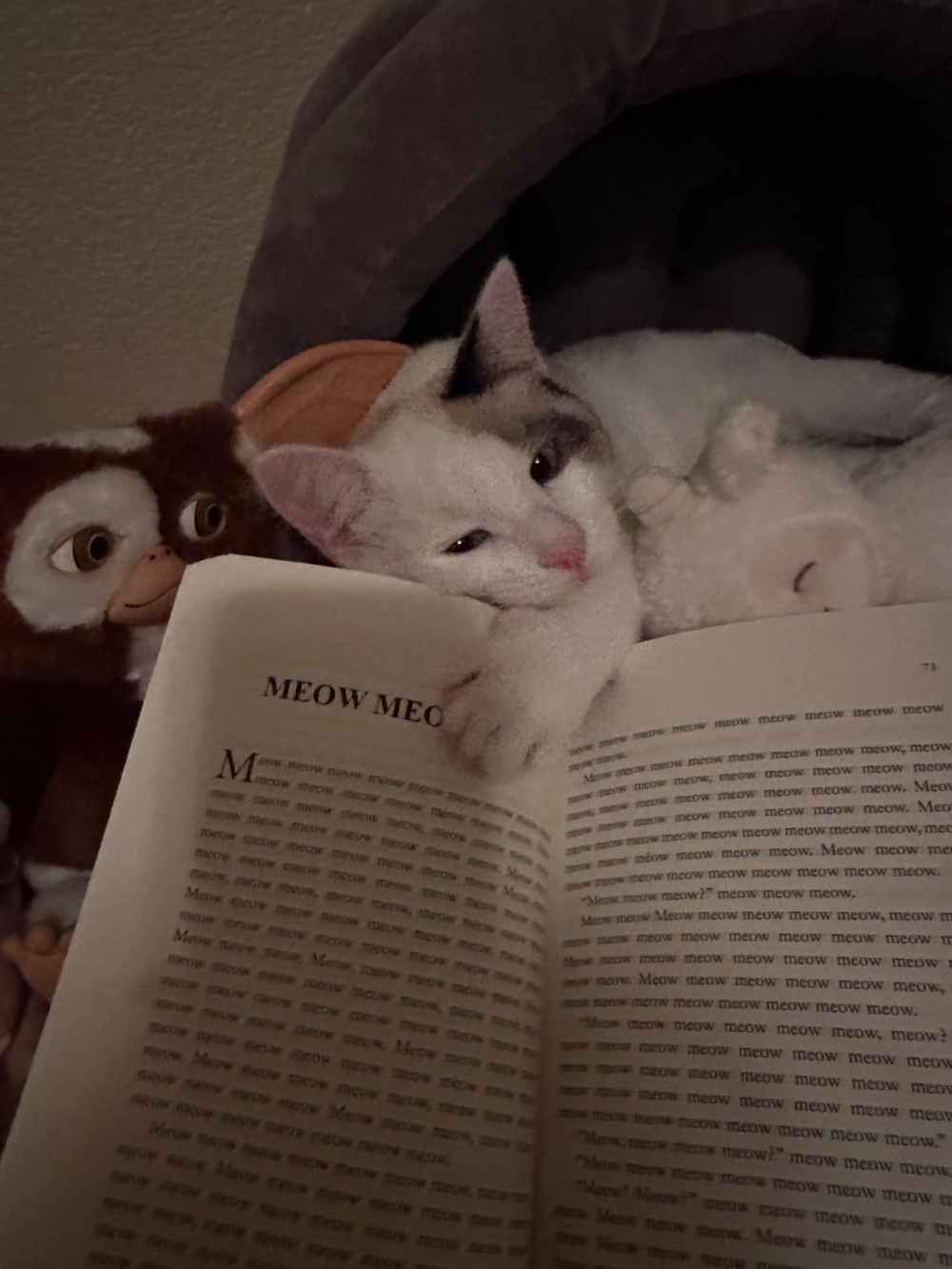 拿來收藏也很不錯～