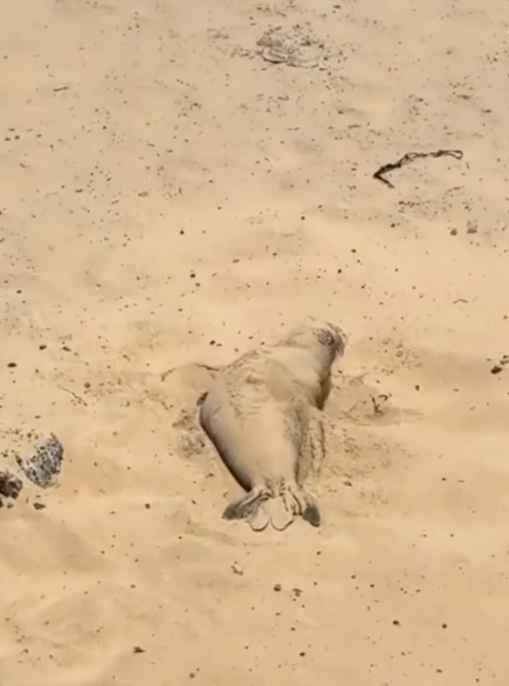 老闆,「花生粉」少一點~
