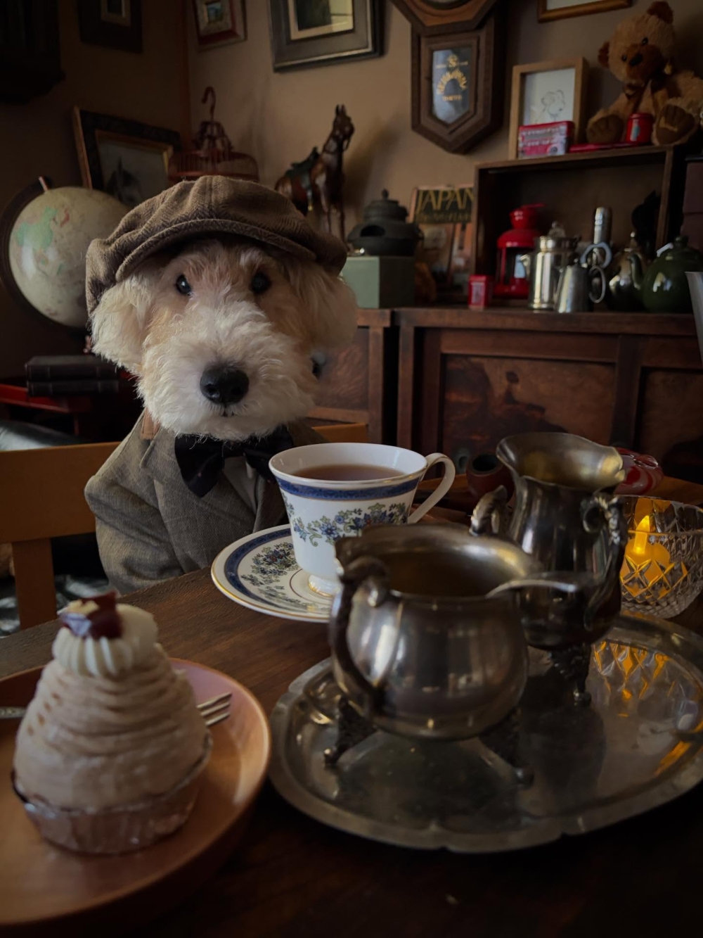 外表紳士、內心冒險家