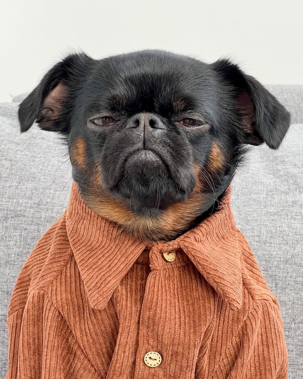 看起來像剛被鬧鐘吵醒的上班族。