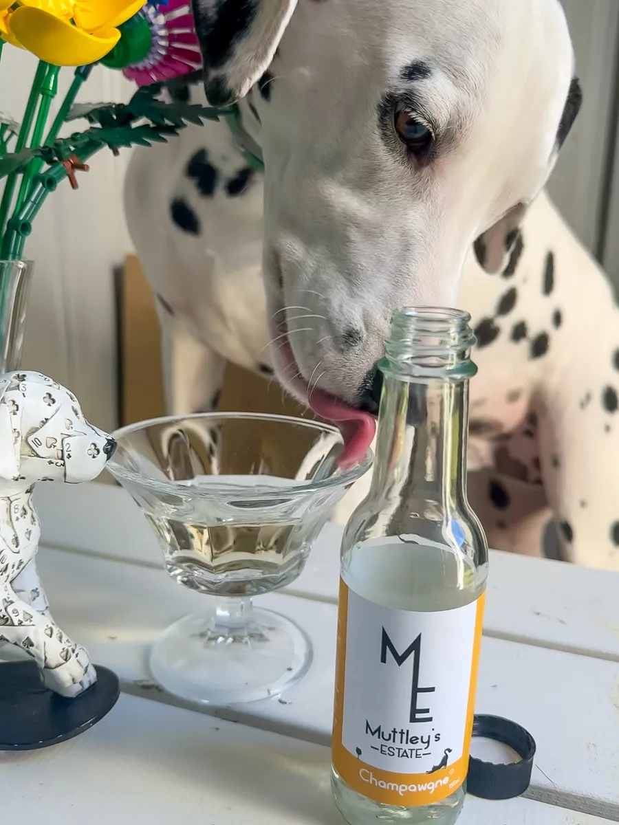 沒有酒精沒有葡萄，安心「開瓶」！