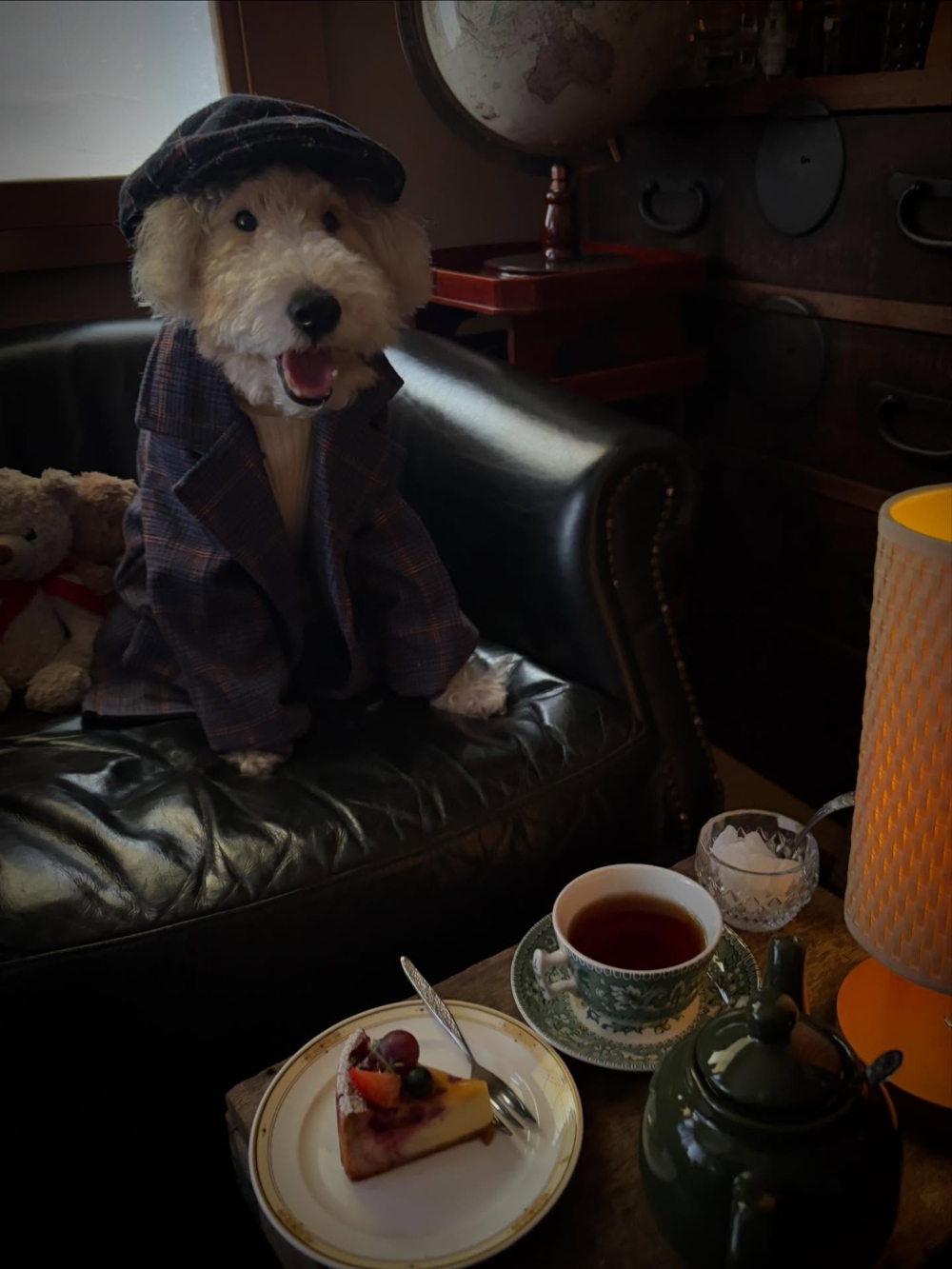 鏡頭前的超級明星