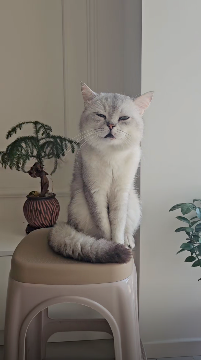 這就是大家口中的「沒苦硬吃」？