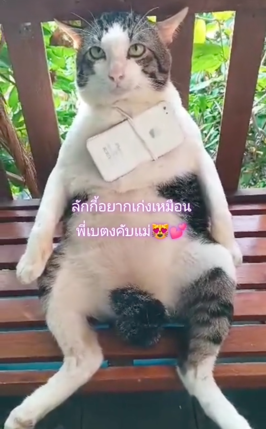 喵:每天都在放空。