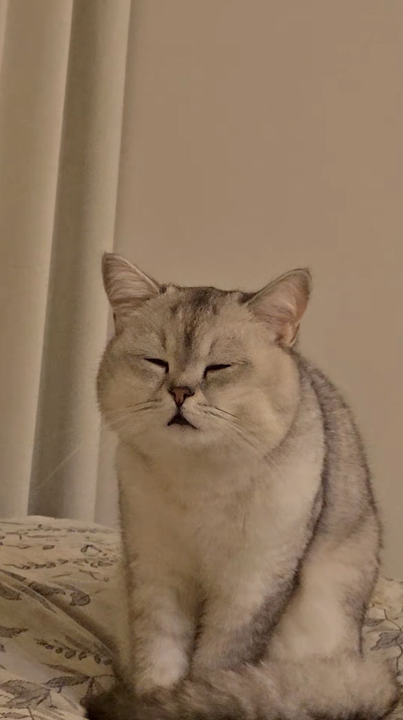 整張臉像是「靈魂登出」了一樣。