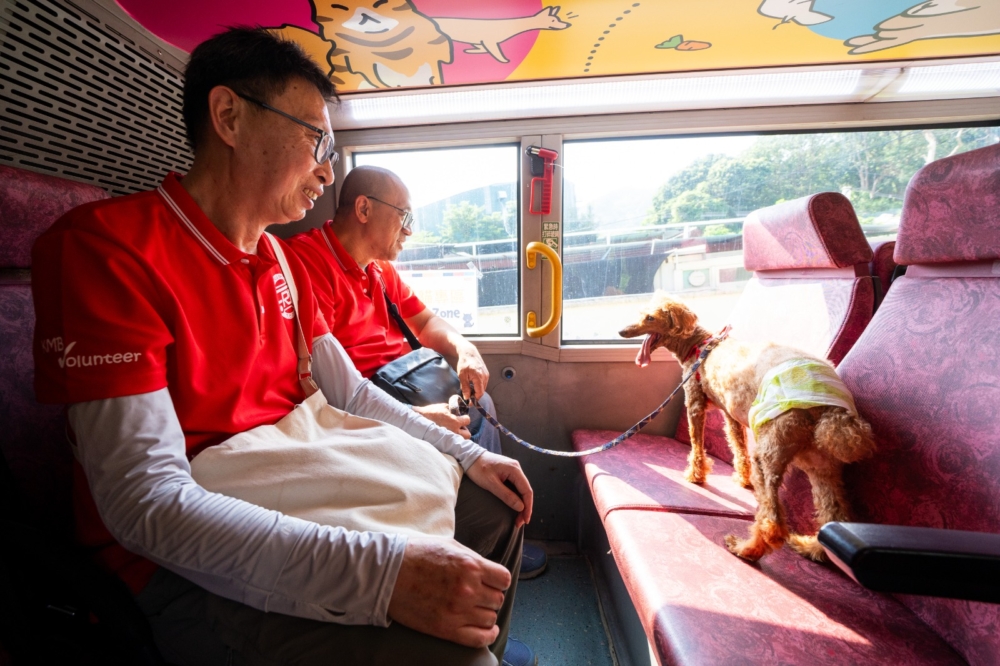 九巴之友義工先聆聽阿棍屋負責人Ivy（上圖右）講解注意事項，再從阿棍屋義工接過負責照顧的狗狗，然後便乘著「寵物巴士」，浩浩蕩蕩出發到西九文化區。狗狗們平常不太有機會外出，更遑論可以一嘗乘搭巴士出行，因此牠們對巴士上的所有設施都十分好奇，亦不時望向窗外的風景。
