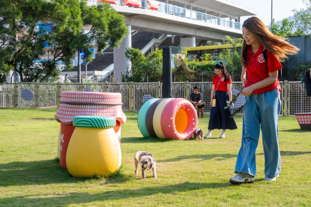 在西九寵物俱樂部，狗狗們可以自由自在地在草坪上奔跑，亦有迷你隧道、爬梯等，讓牠們盡情探索和放電，彷彿回到年輕的時候。