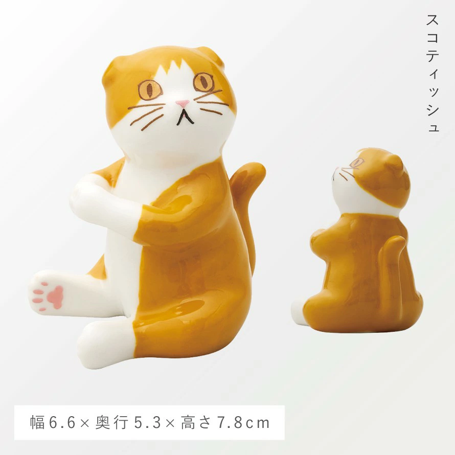 蘇格蘭貓（Scottish Fold）