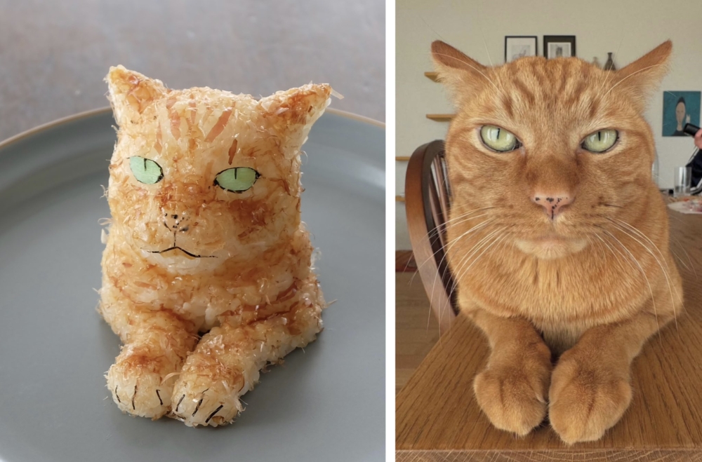 以流浪貓為靈感的飯糰系列。