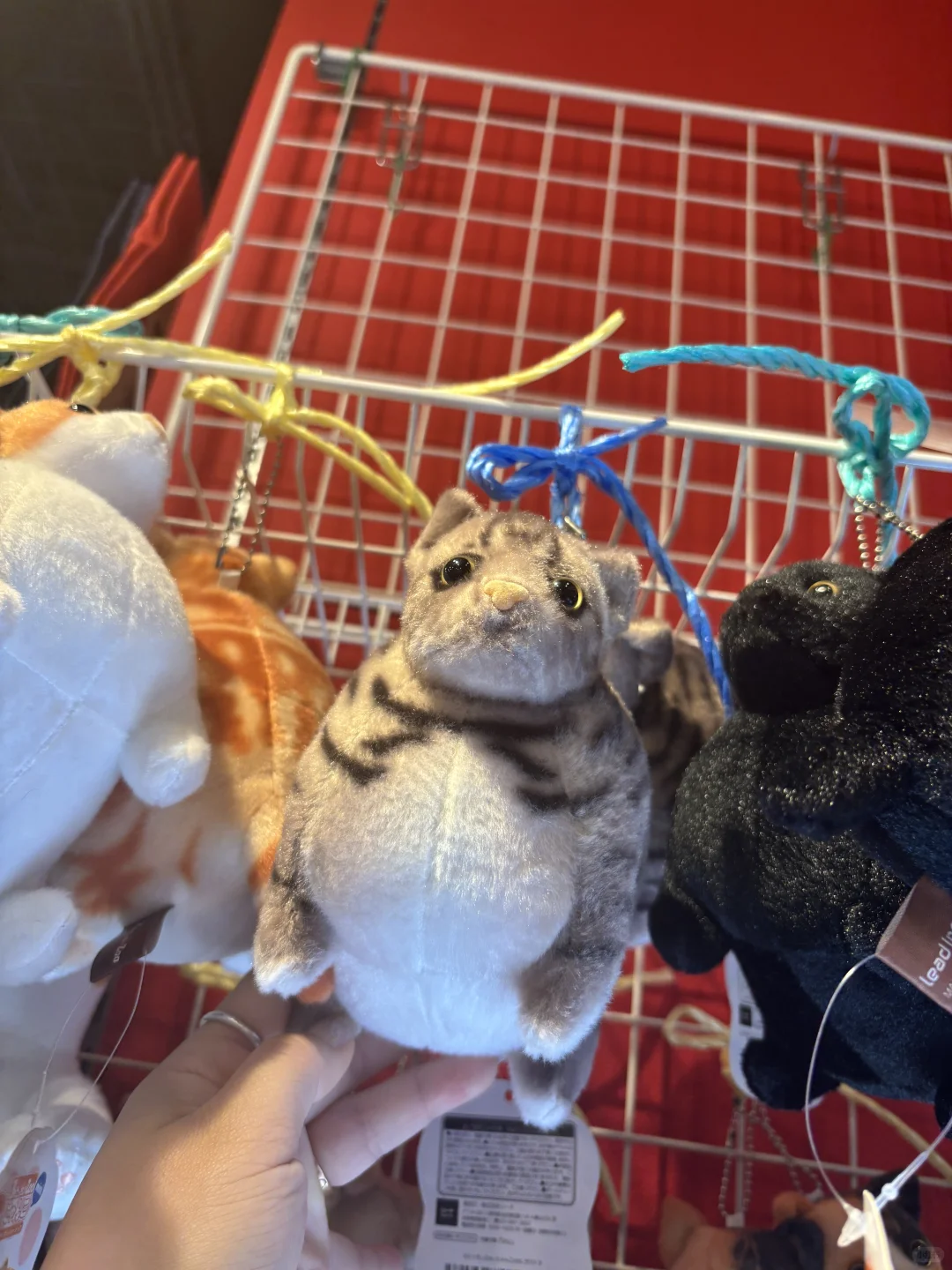 圓滾滾的身形讓人看了也會心情大好！