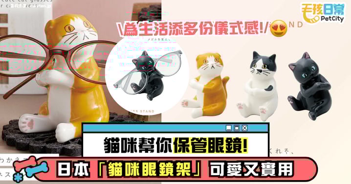讓貓咪幫你保管眼鏡！日本「貓咪眼鏡架」可愛又實用 為生活添加儀式感！