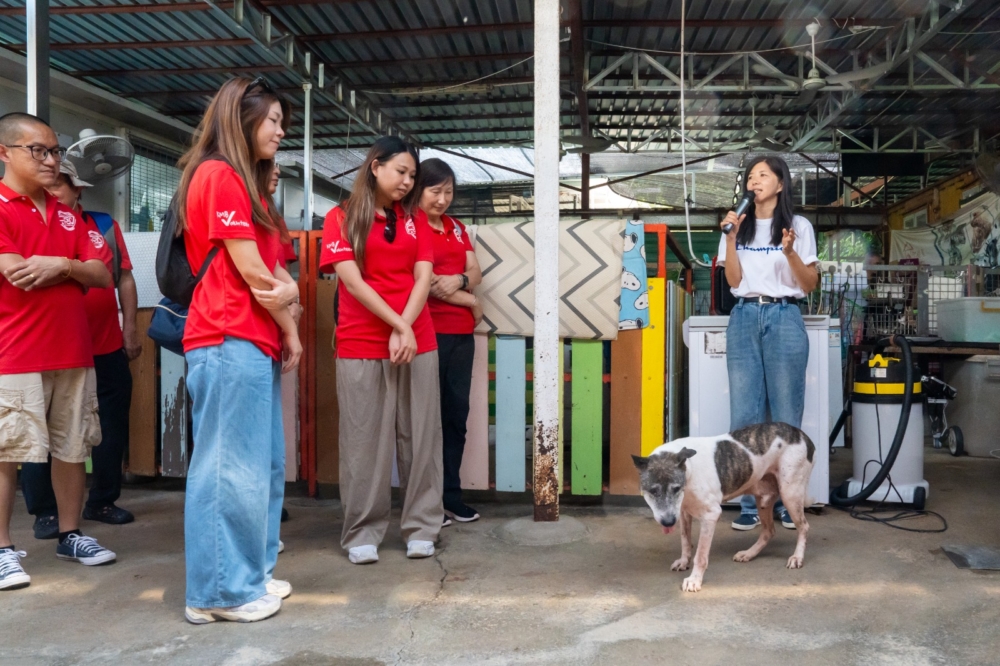 九巴之友義工先聆聽阿棍屋負責人Ivy（上圖右）講解注意事項，再從阿棍屋義工接過負責照顧的狗狗，然後便乘著「寵物巴士」，浩浩蕩蕩出發到西九文化區。狗狗們平常不太有機會外出，更遑論可以一嘗乘搭巴士出行，因此牠們對巴士上的所有設施都十分好奇，亦不時望向窗外的風景。