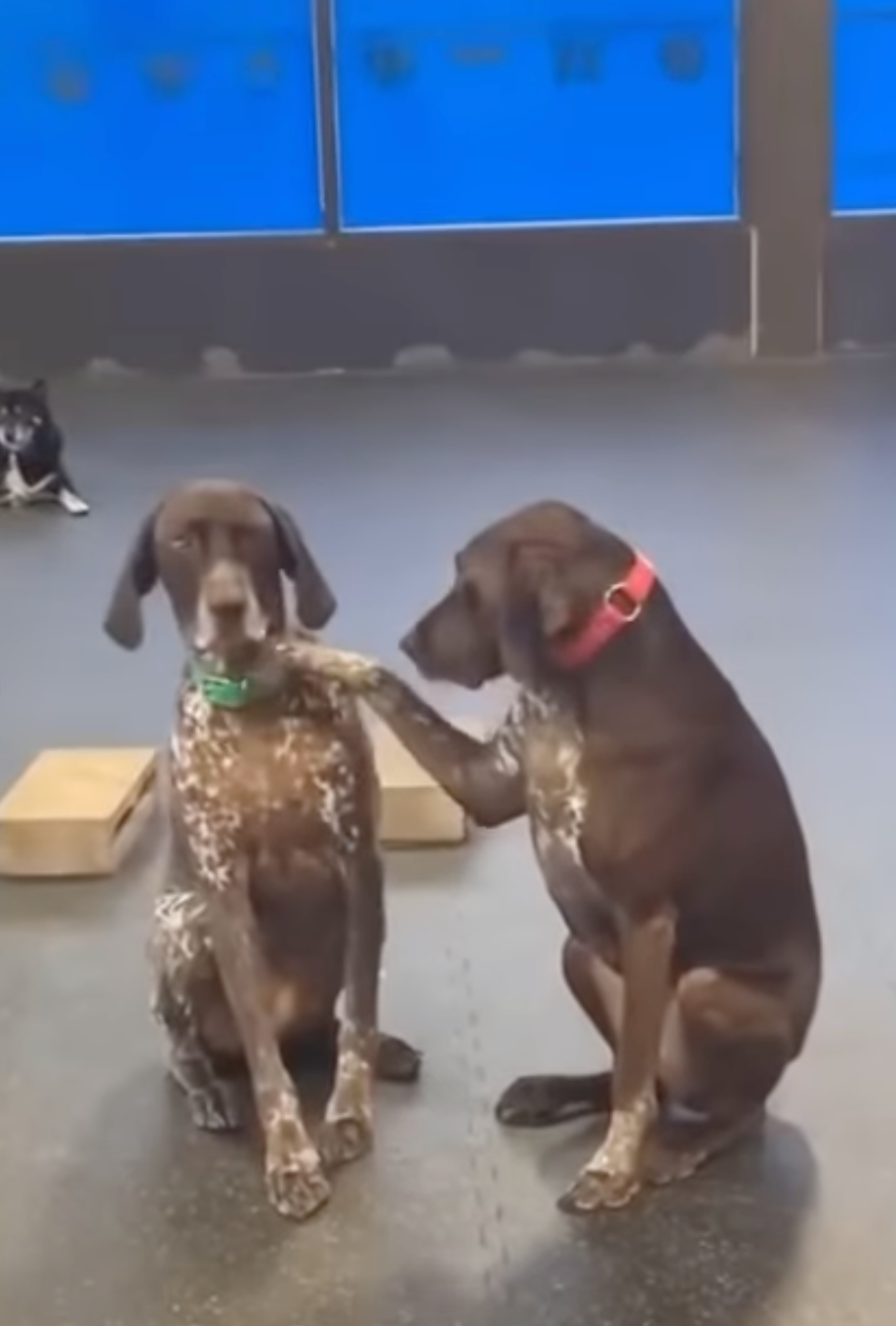 Ruby:兄弟,別緊張。