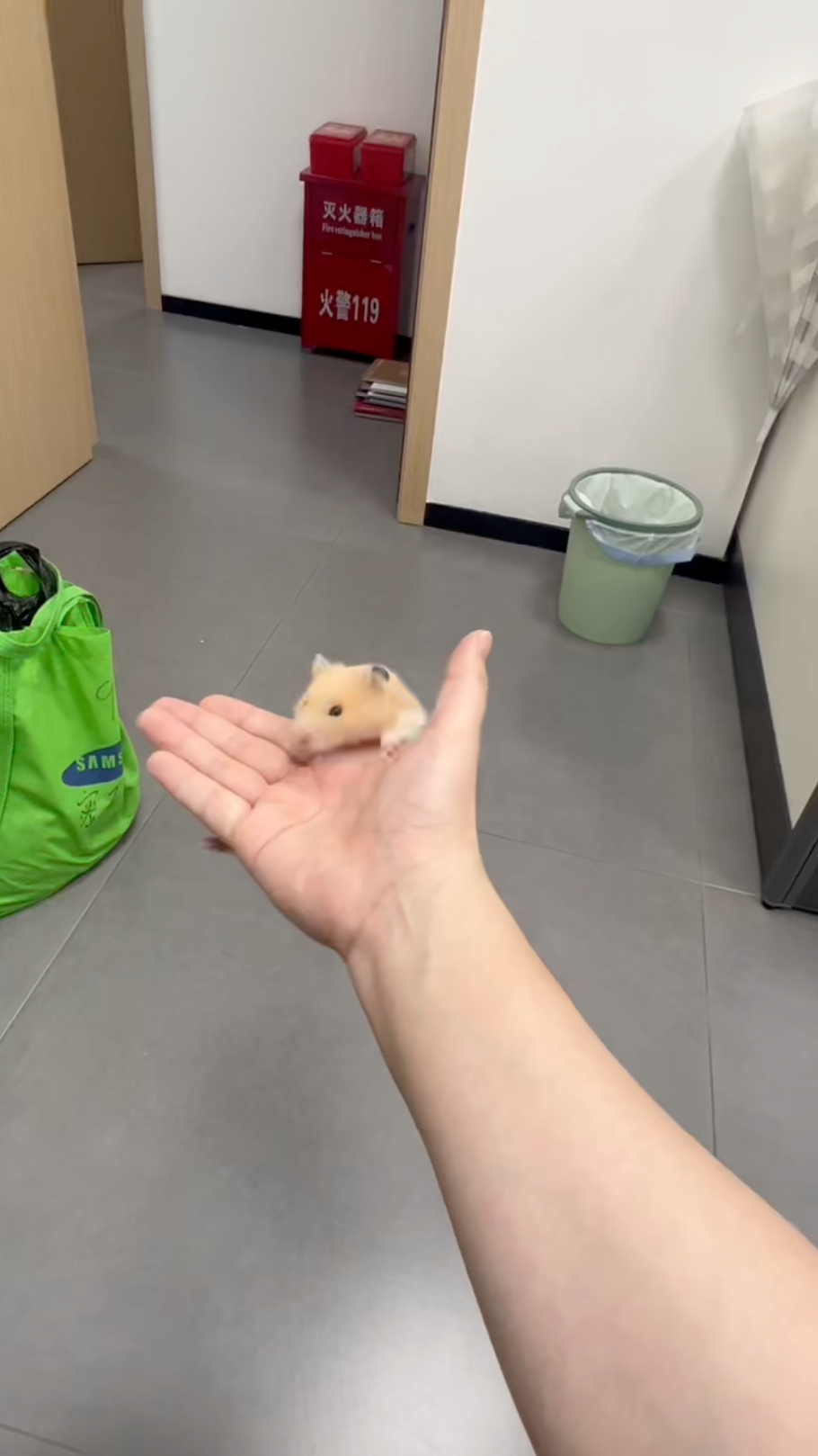 鼠鼠：hello我又回來了～