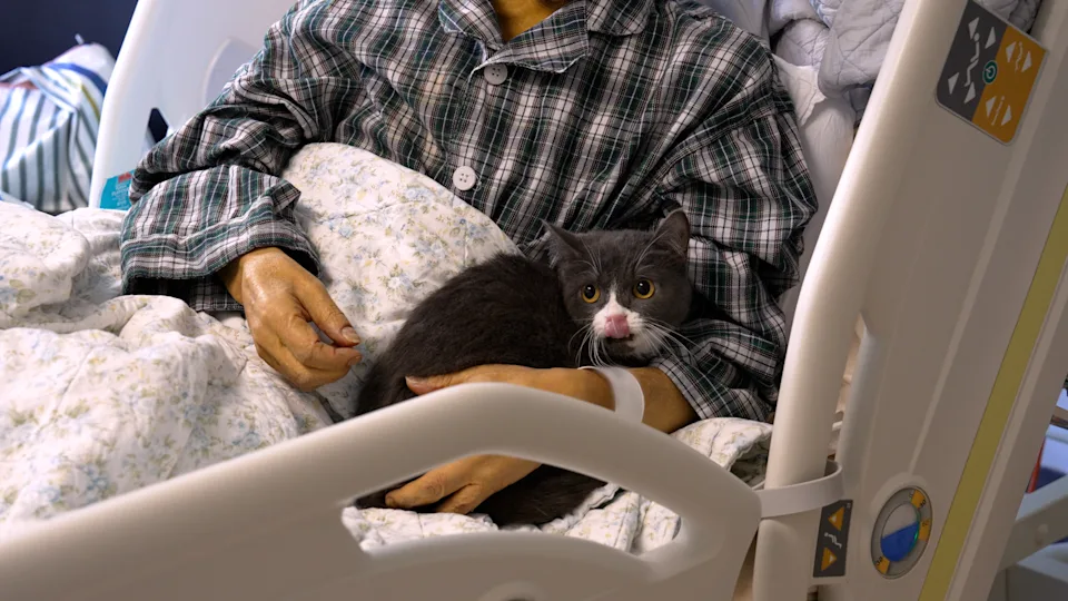 儘管華叔身體已十分虛弱，每一次呼吸都顯得沉重吃力，仍不停輕輕撫摸著愛貓，難掩滿足的面容。家人亦在旁默默見證這感人一刻。