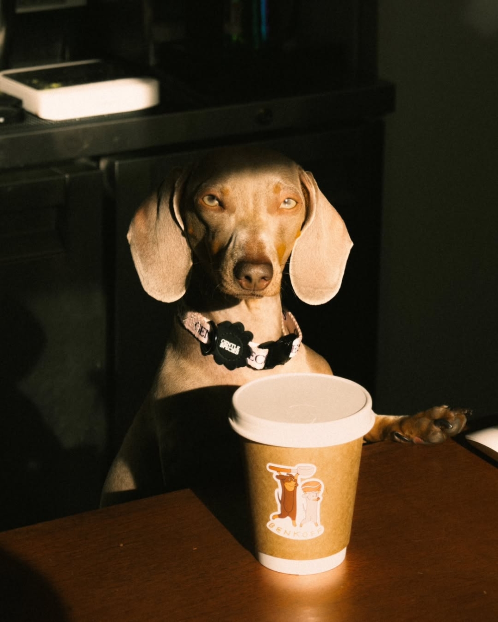 盲盒靈感來自狗店長！