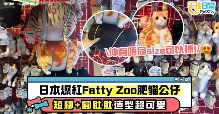 日本爆紅「肥仔動物園」肥貓玩偶 圓滾滾模樣太真實讓人心都融化!