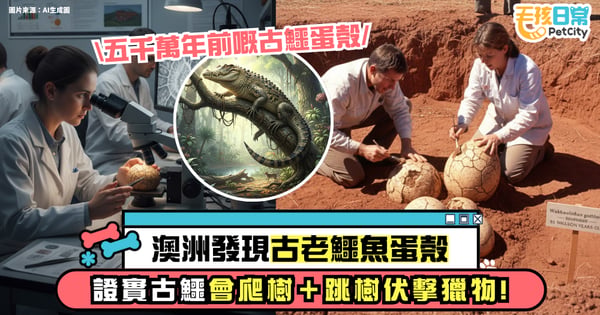 澳洲發現古老鱷魚蛋殼:五千萬年前的「樹上伏擊鱷」真的會從樹上跳下獵食