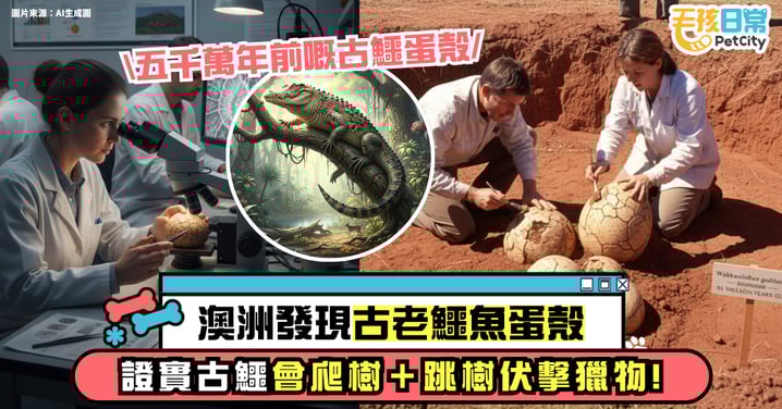 澳洲發現古老鱷魚蛋殼:五千萬年前的「樹上伏擊鱷」真的會從樹上跳下獵食