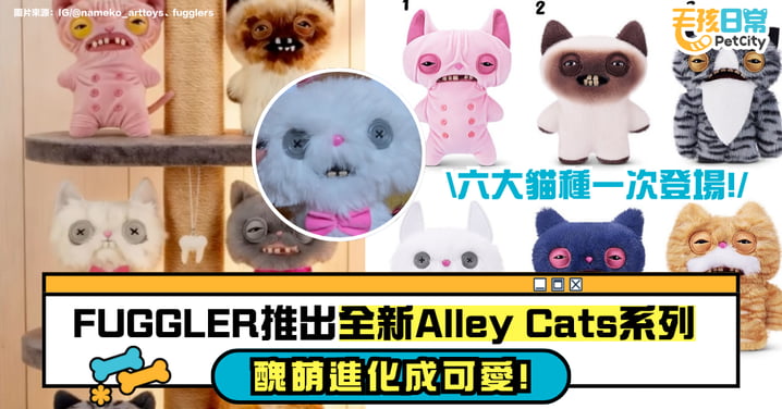 「醜萌」進化可愛!FUGGLER 推出全新「Alley Cats」系列,這次貓奴真的忍不住了!