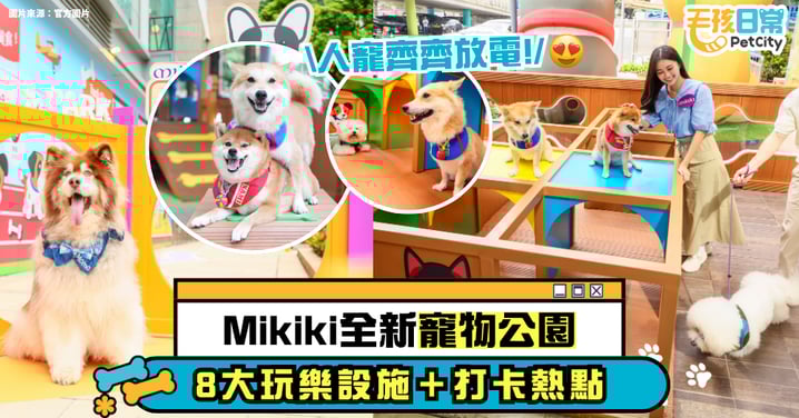 東九龍首個商場寵物公園Mikiki「Pets Park」隆重開幕|兩大主題區 x 8大玩樂設施