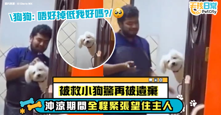 被救小狗害怕再被拋下 洗澡全程緊張觀察主人身影:你不會走掉吧?
