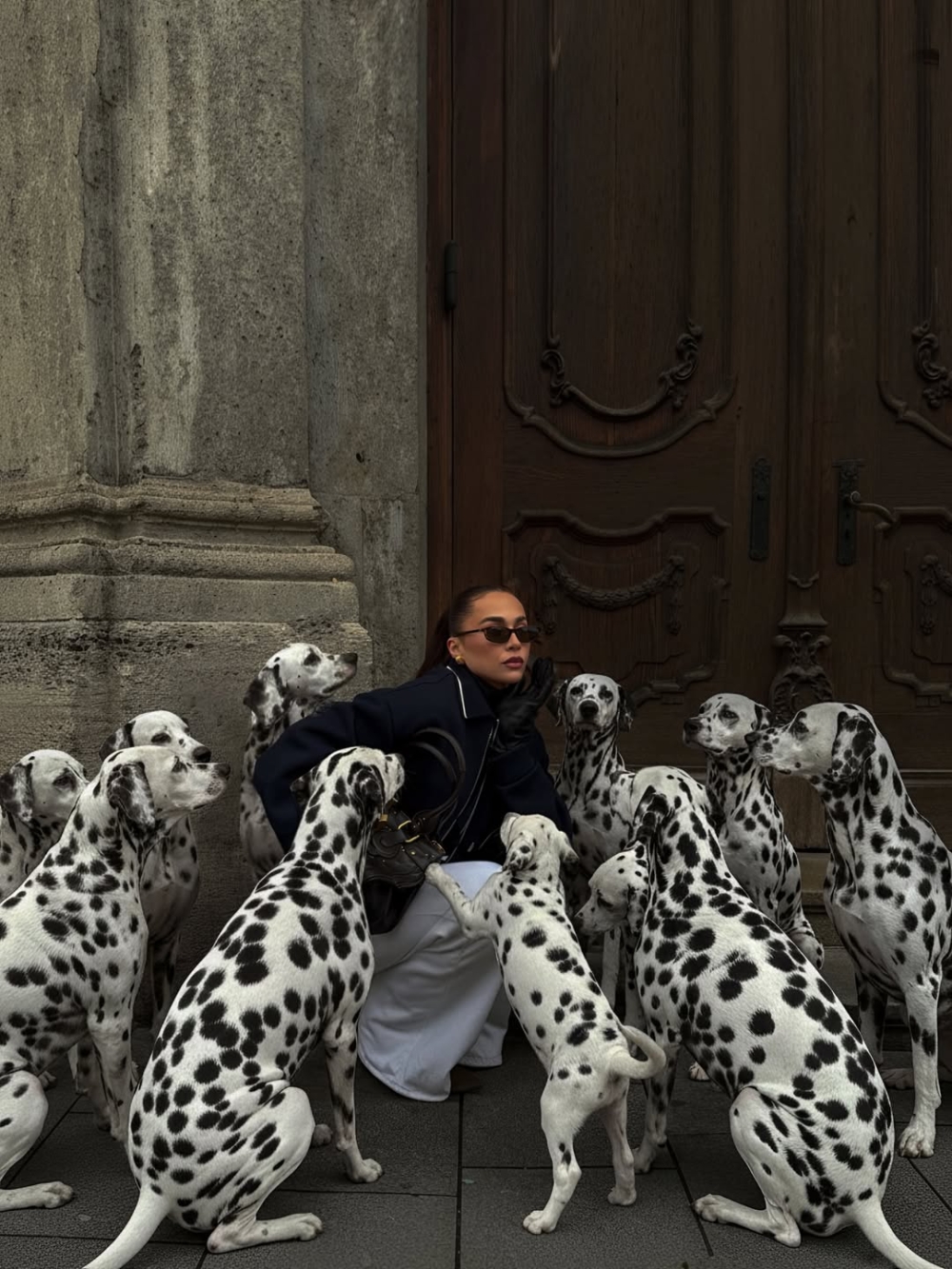 只需要一張照片和一句指令就能完成！