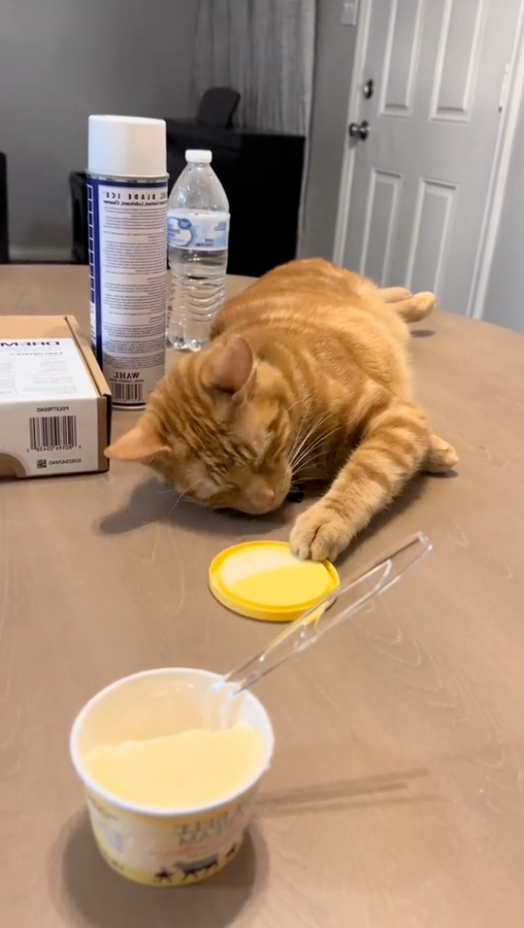 看起來毫不費力實則腳趾都扣緊了～