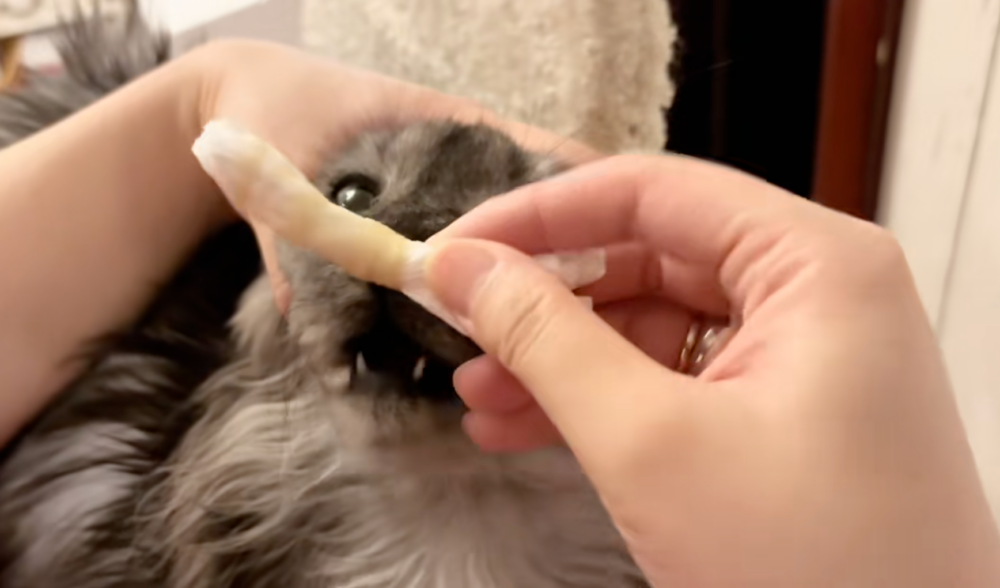 這長度…有點太超過了吧！