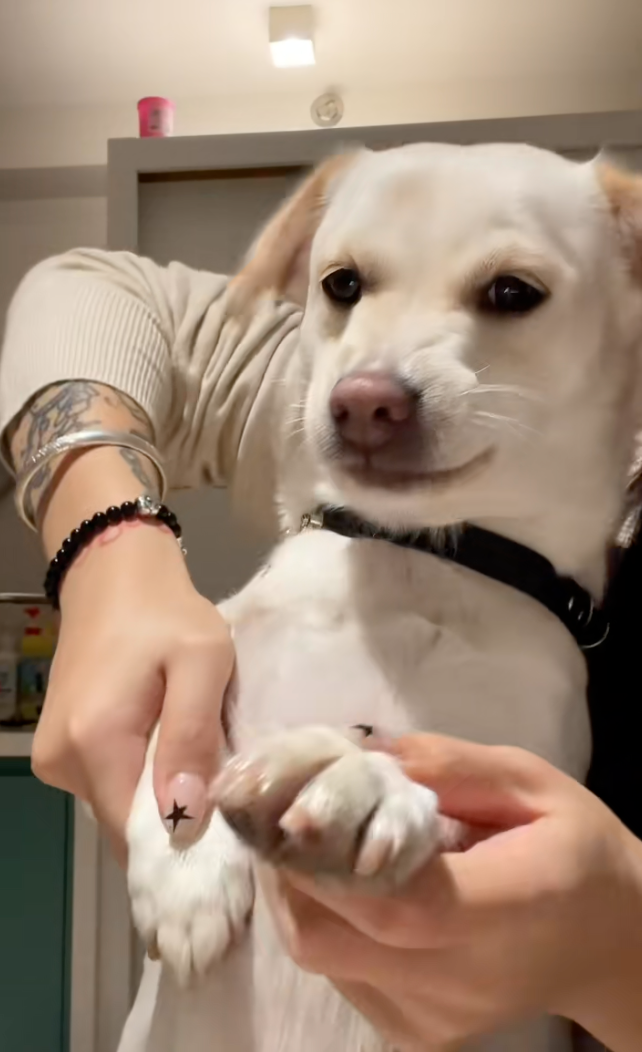 汪：不對？我怎麼這麼帥？