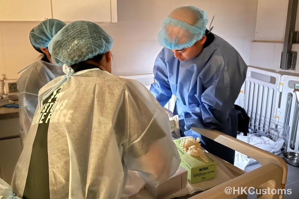 9 隻 BB 全部健康報到。