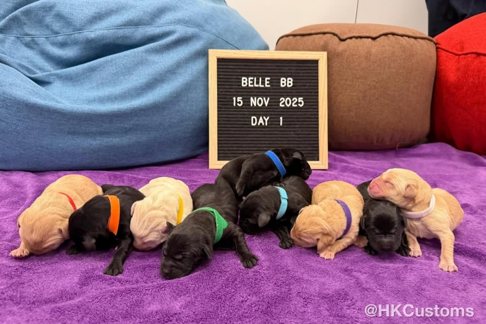 小小身軀、圓滾滾的肚肚、奶香滿滿，每天都在努力喝奶、睡覺、探索小小世界。