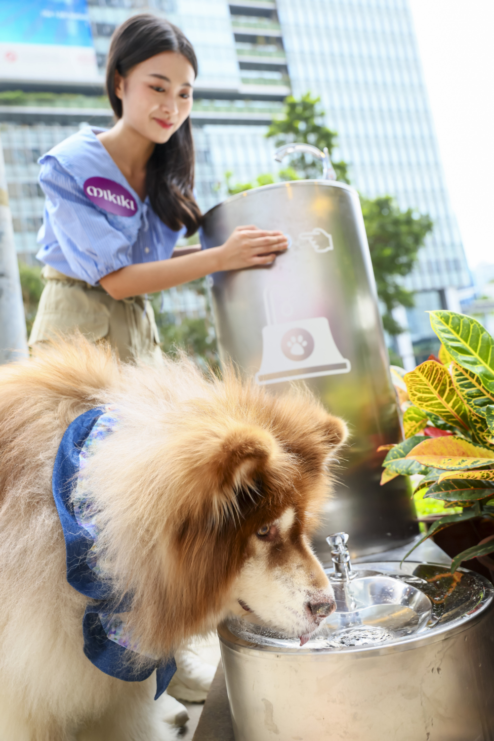 商場方面亦提供免費寵物用品借用。