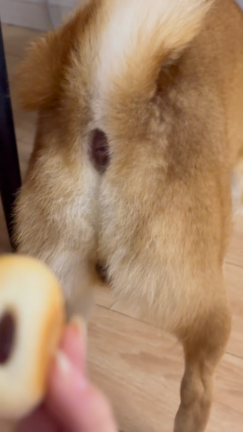 嗯？怎麼越看越像？