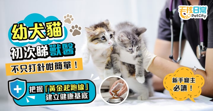 【新手寵主必讀】幼犬貓第一次睇獸醫只係為打針?把握「黃金起跑線」建立專屬健康基底