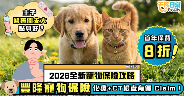 【2026全新寵物保險攻略】豐隆寵物保險 化療+CT檢查有得 Claim！