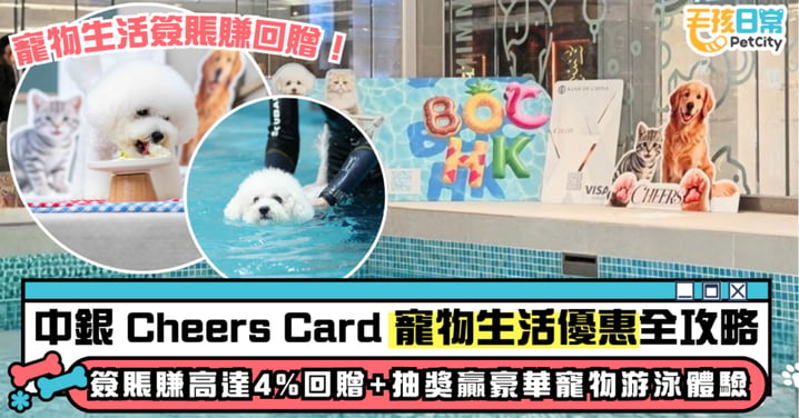 寵物生活簽賬賺回贈!中銀 Cheers Card 寵物生活優惠全攻略:簽賬賺高達4%回贈+抽獎贏豪華寵物游泳體驗