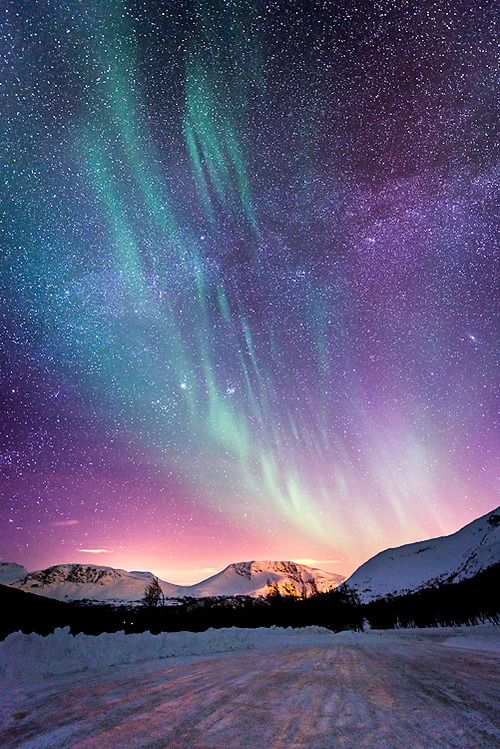 aurora
