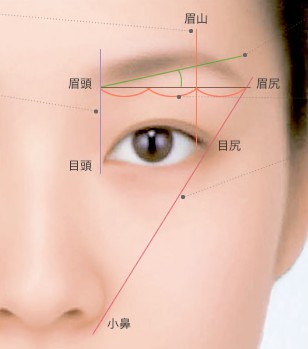 eyebrow