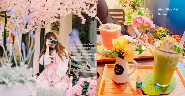 在櫻花下喝咖啡！韓國花藝Cafe...帶你進入浪漫唯美的花花世界