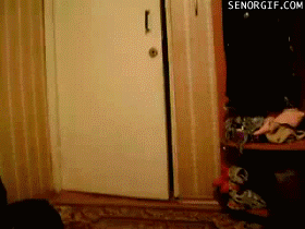giphy https://giphy.com/gifs/home-bar-coming-N0L3yeyNkXfck