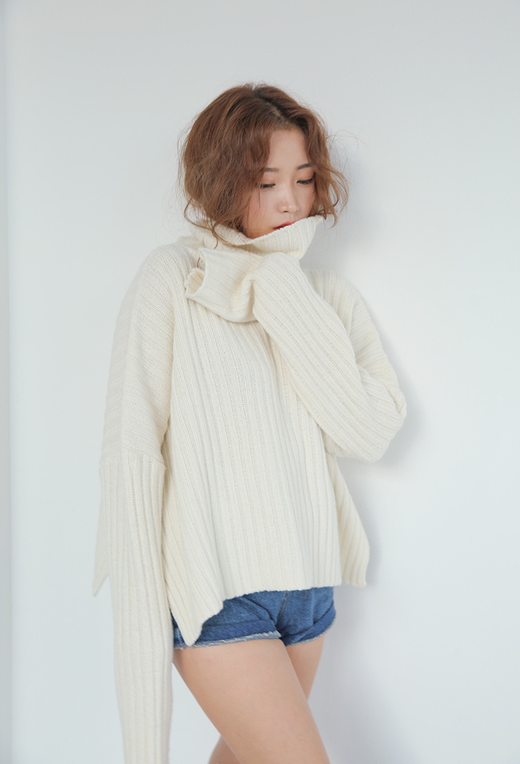 stylenanda http://en.stylenanda.com/product/thick-rib-turtleneck-sweater/215132/?cate_no=118&display_group=1