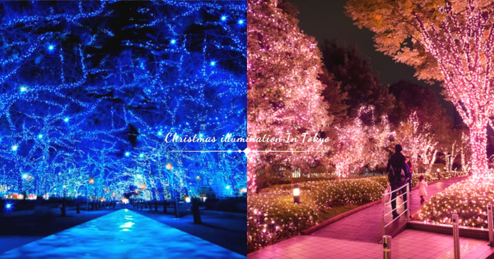 東京最浪漫的兩處聖誕燈飾！夢幻的「青之洞窟」與「冬之櫻」，度過幸福的聖誕夜〜