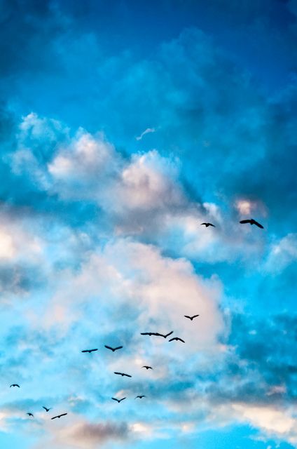 Pinterest