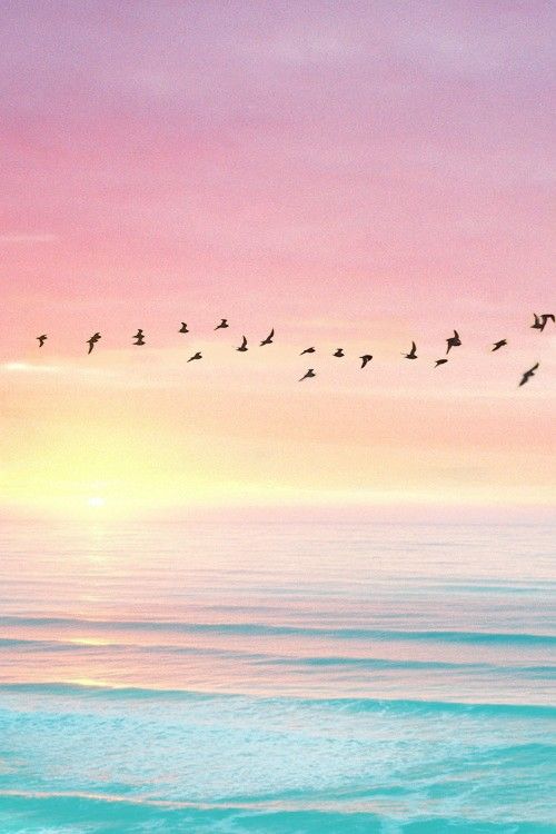 Pinterest