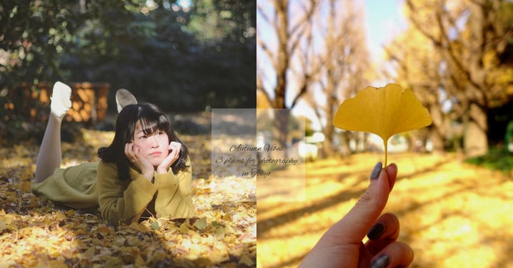 抓緊秋天的尾巴～即使銀杏掉下了也很漂亮，推介３個東京銀杏打卡熱點！