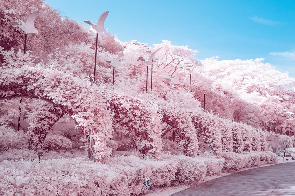 FB:思相 Stevengraph