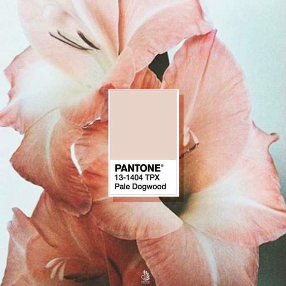 485313b42fcb1f6a070addc7c2ab5195